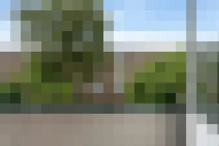 Vredenoordlaan 66 B Rotterdam thumbnail 21