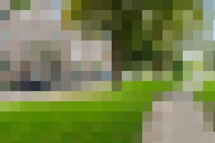 Vredenoordlaan 66 B Rotterdam thumbnail 24