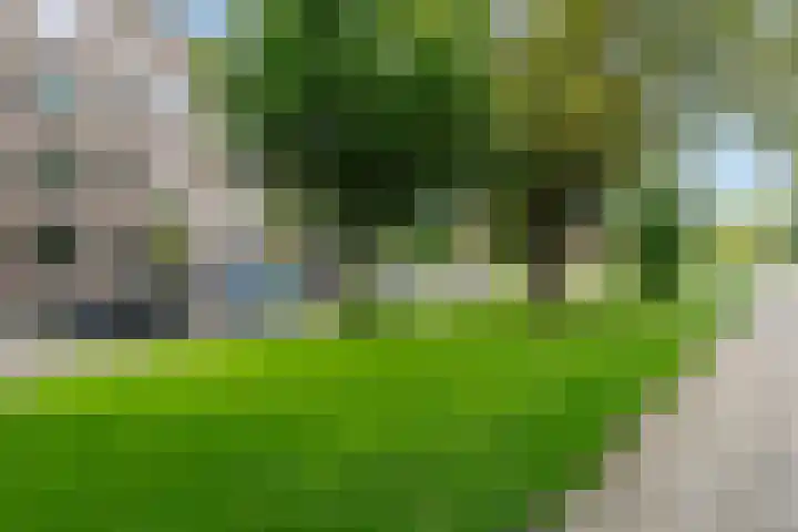 Vredenoordlaan 66 B Rotterdam thumbnail 4