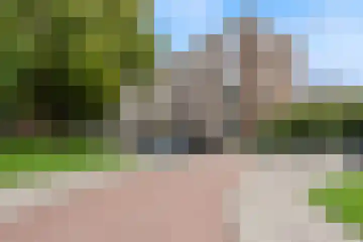 Vredenoordlaan 66 B Rotterdam thumbnail 5