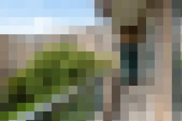 Vredenoordlaan 66 B Rotterdam thumbnail 9
