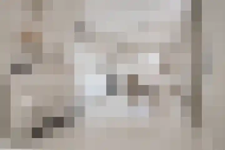 Vredensestraat 3 Winterswijk thumbnail 5