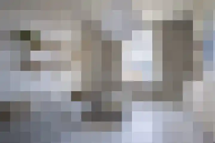 Vredensestraat 3 Winterswijk thumbnail 9
