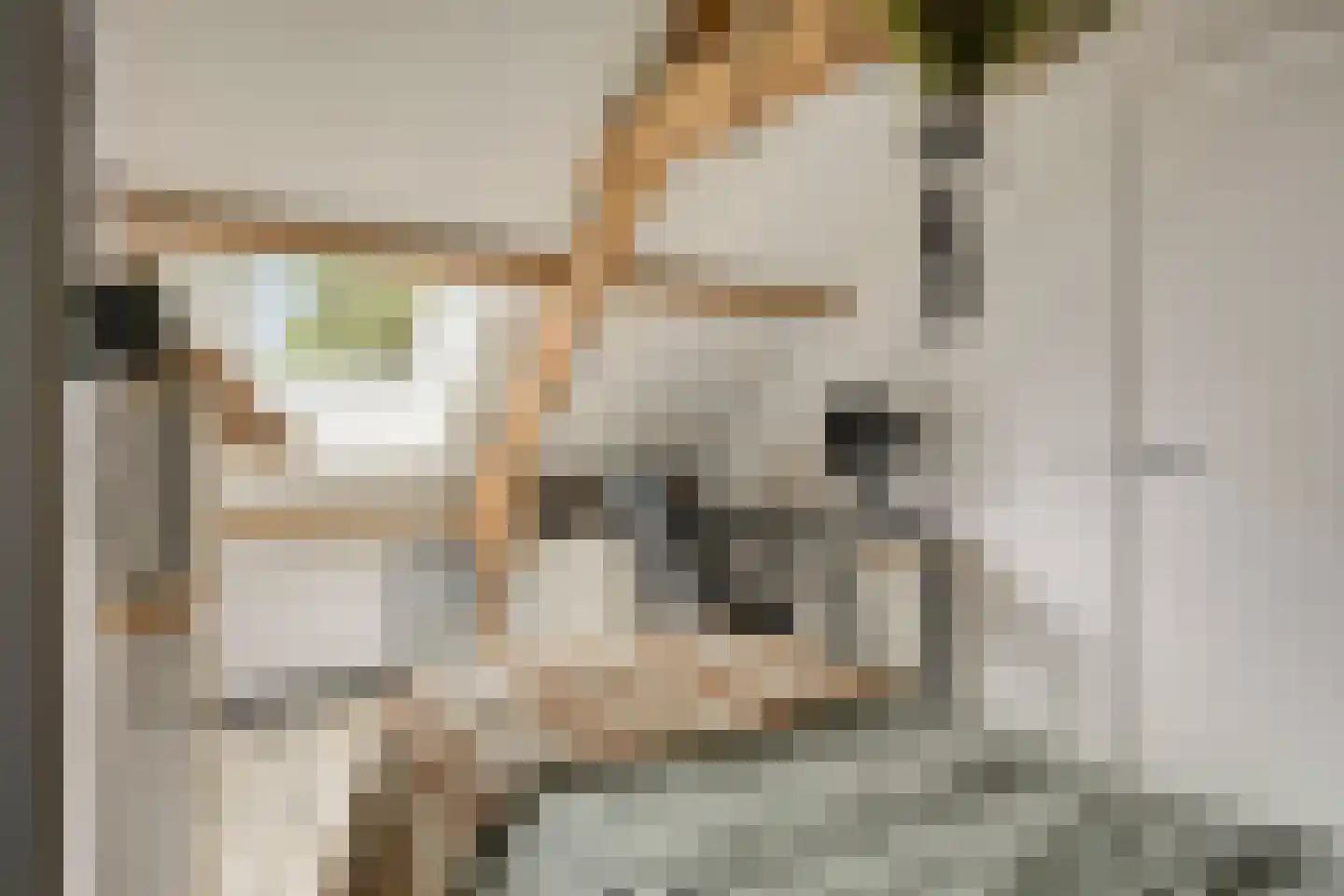 Vredensestraat 58 Winterswijk thumbnail 31
