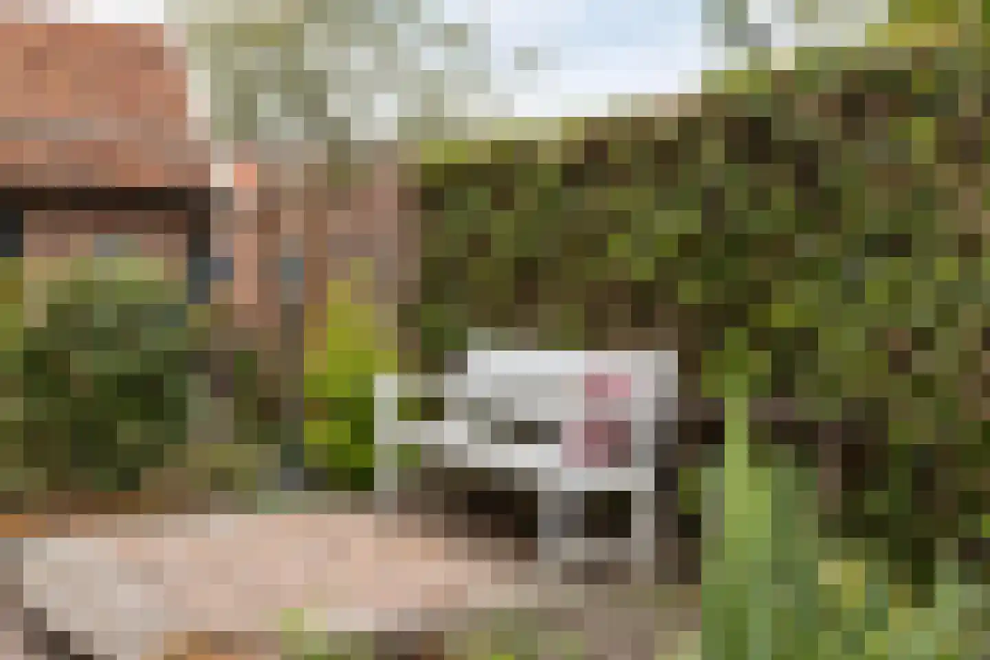 Vredensestraat 58 Winterswijk thumbnail 39