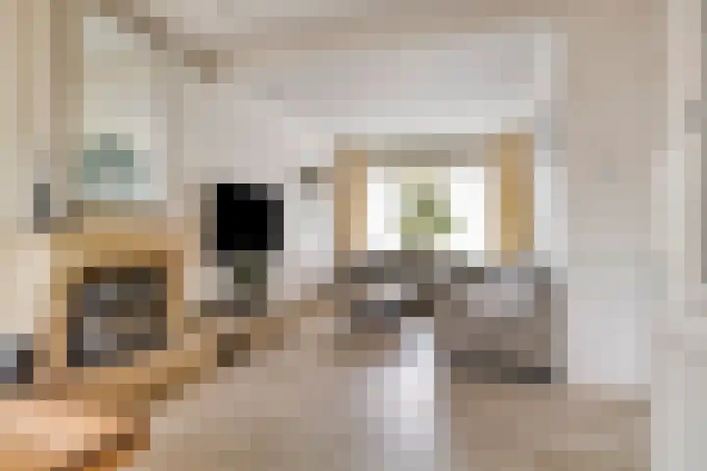 Vredensestraat 58 Winterswijk thumbnail 6