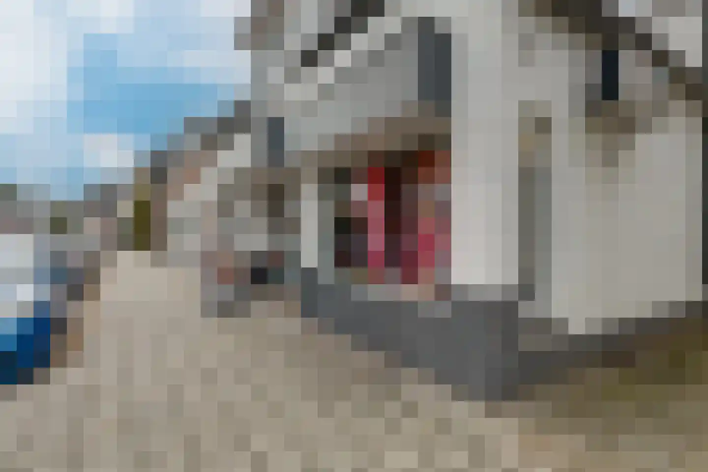 Vredensestraat 9 Winterswijk thumbnail 6