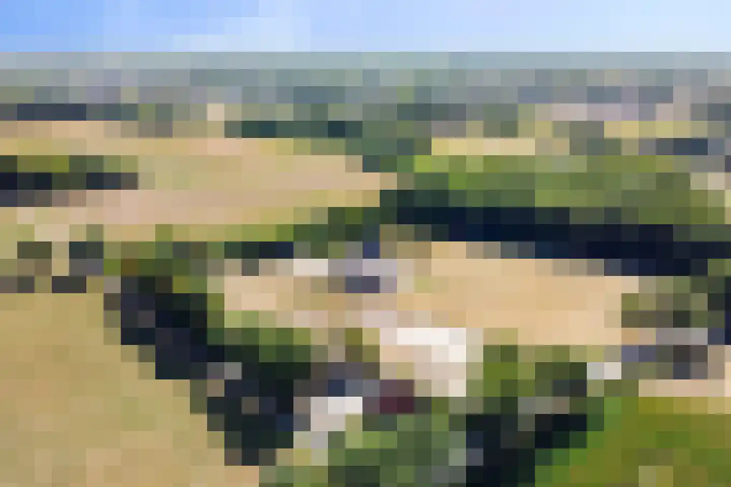 Vredenseweg 102 Groenlo thumbnail 34
