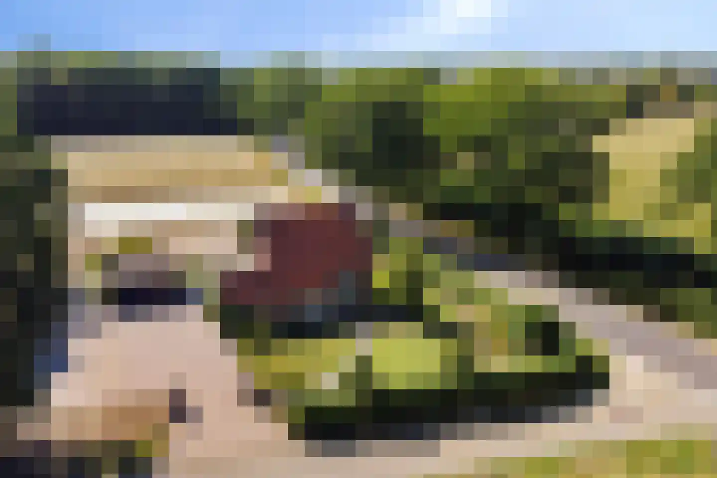 Vredenseweg 102 Groenlo thumbnail 35