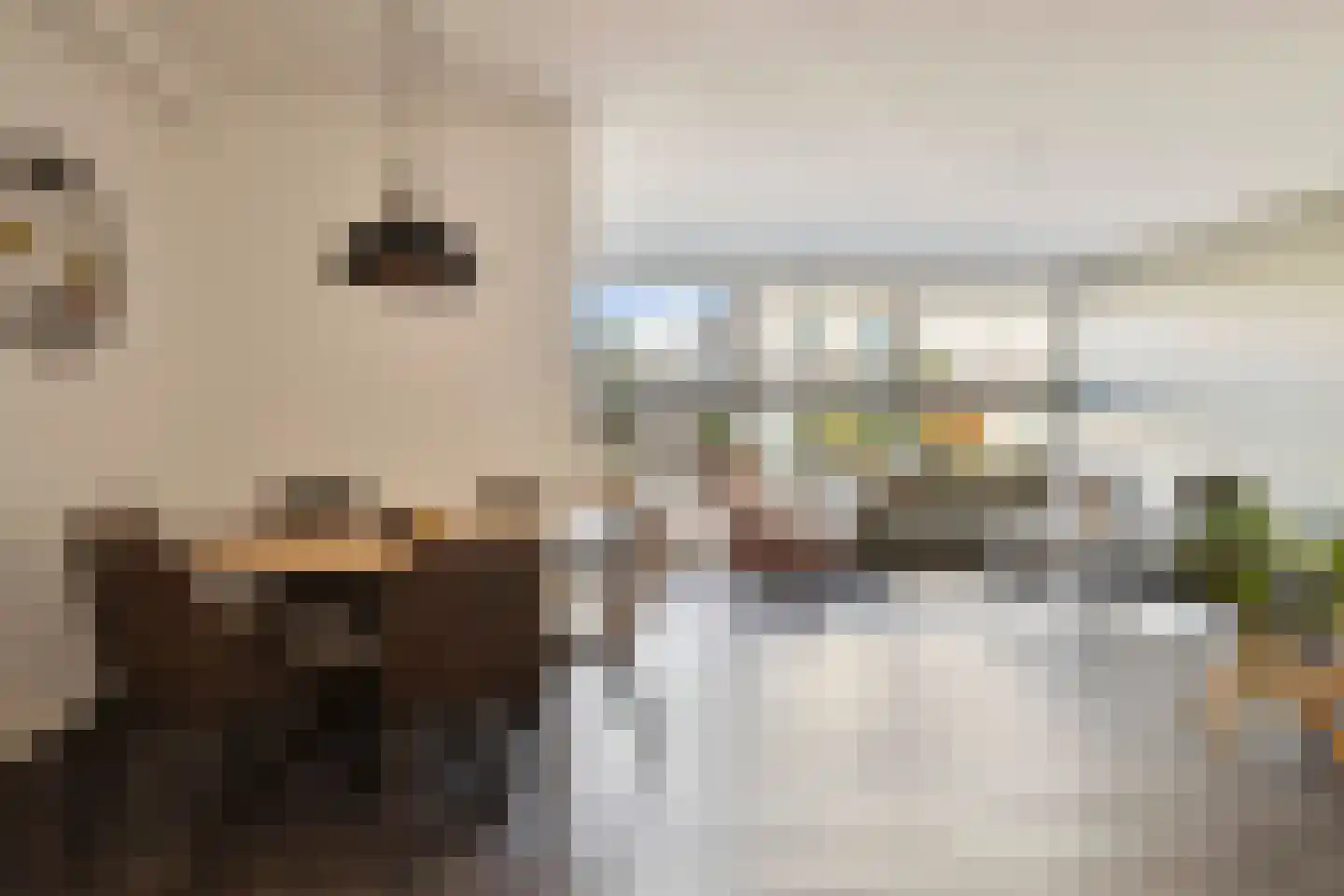 Vredenseweg 12 c Winterswijk thumbnail 13