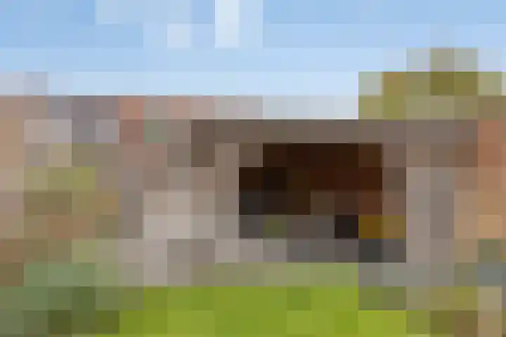 Vredenseweg 128 Winterswijk thumbnail 40