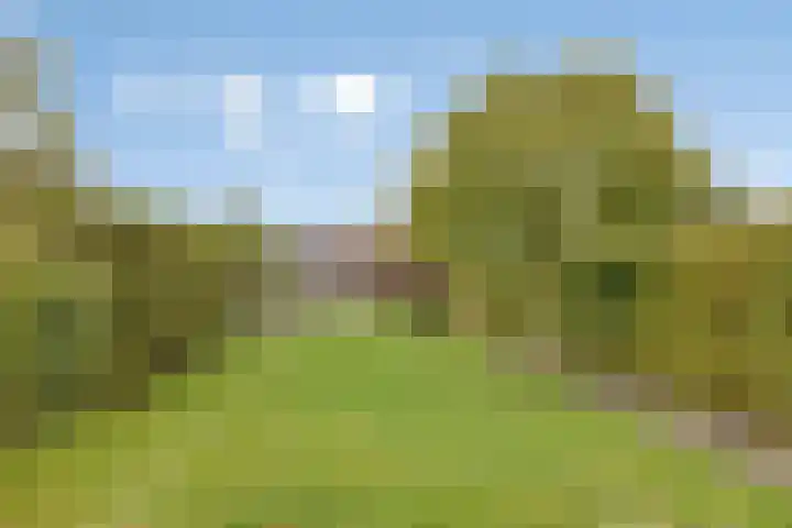 Vredenseweg 128 Winterswijk thumbnail 42