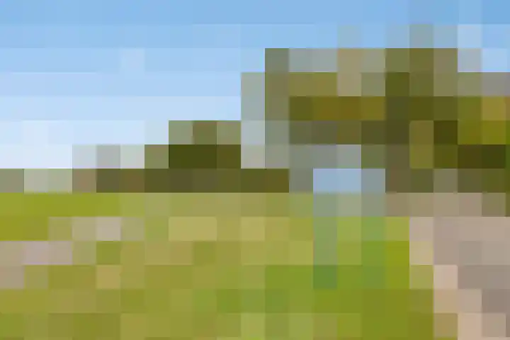 Vredenseweg 128 Winterswijk thumbnail 47
