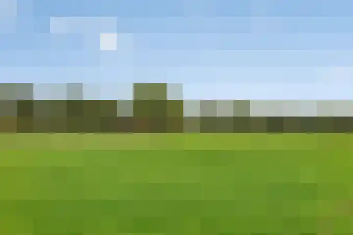 Vredenseweg 128 Winterswijk thumbnail 48