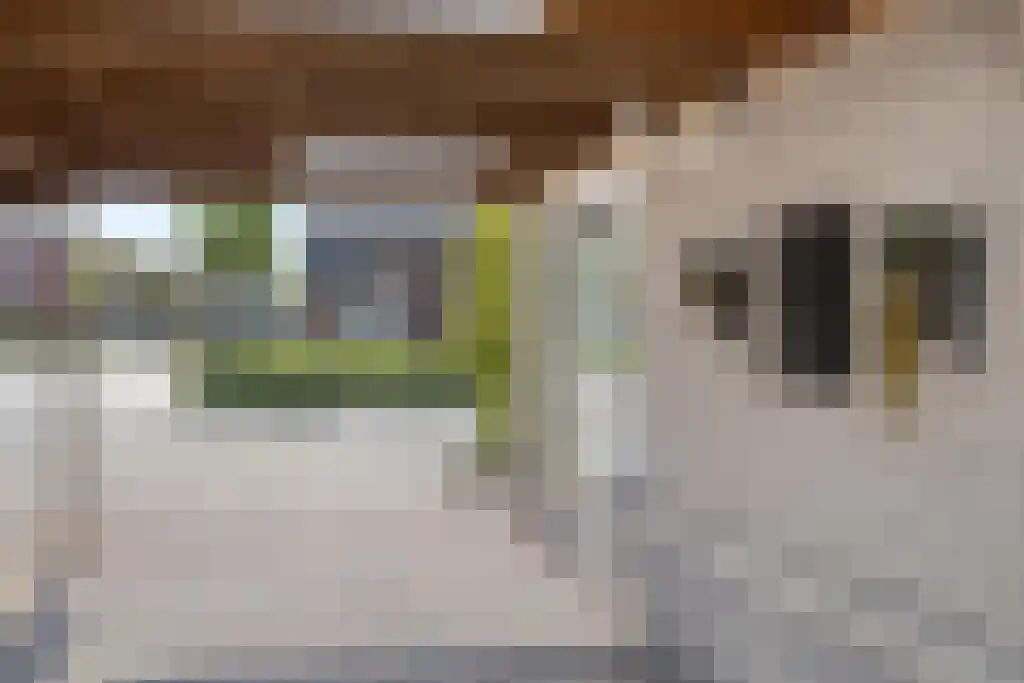 Vredenseweg 5 a Winterswijk thumbnail 6