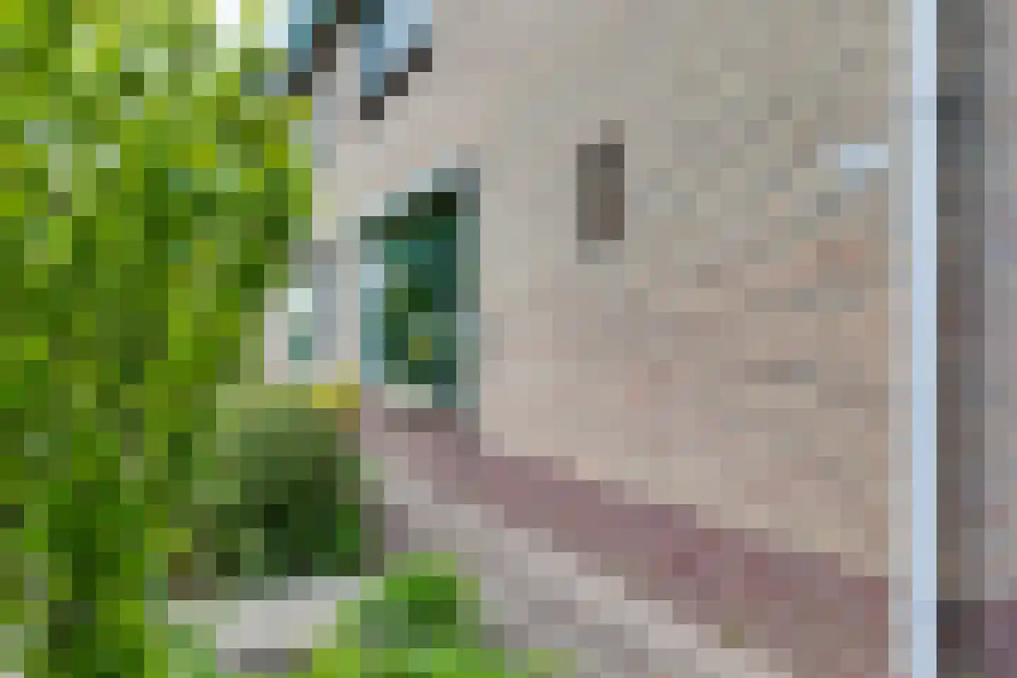 Vredenseweg 83 VI Winterswijk thumbnail 8