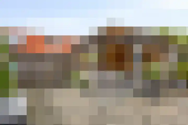 Vredenveld 31 Emmen thumbnail 34