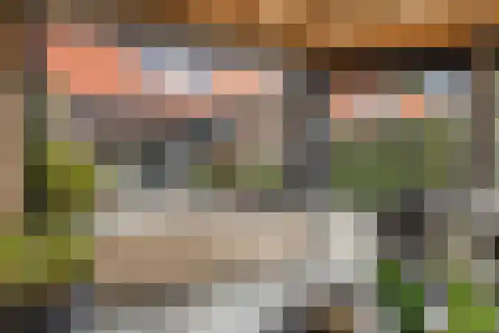Vredenveld 31 Emmen thumbnail 36
