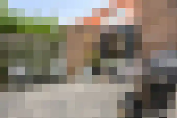 Vredenveld 31 Emmen thumbnail 38