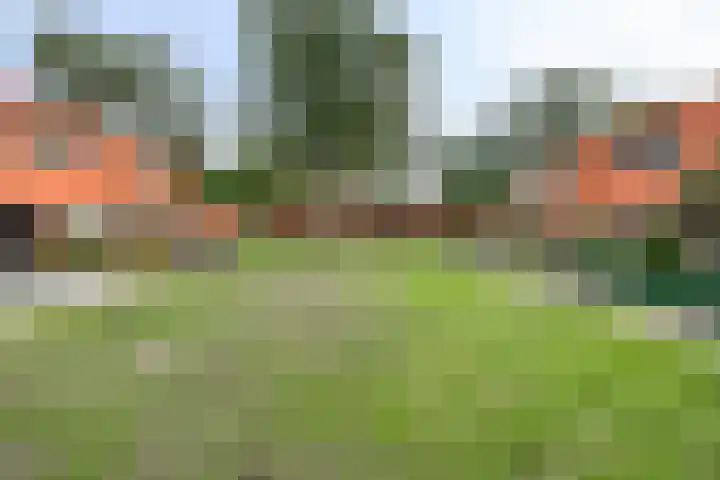 Vredenveld 31 Emmen thumbnail 7