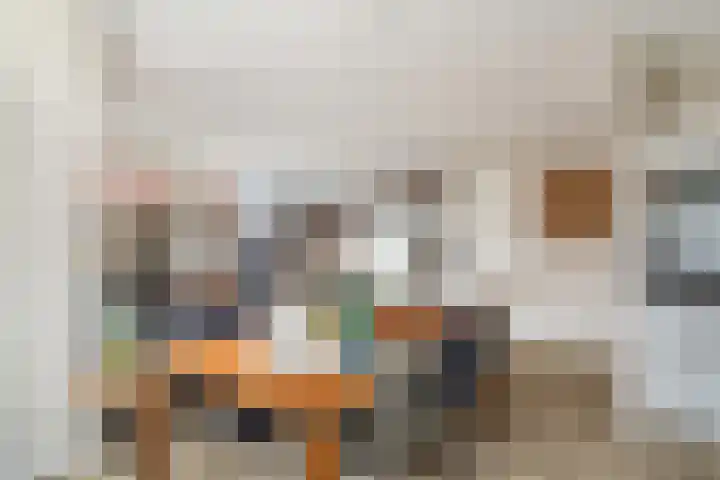 Vredeoord 15 Gouda thumbnail 14