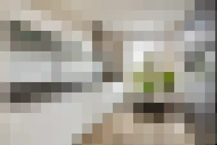 Vredeoord 15 Gouda thumbnail 17