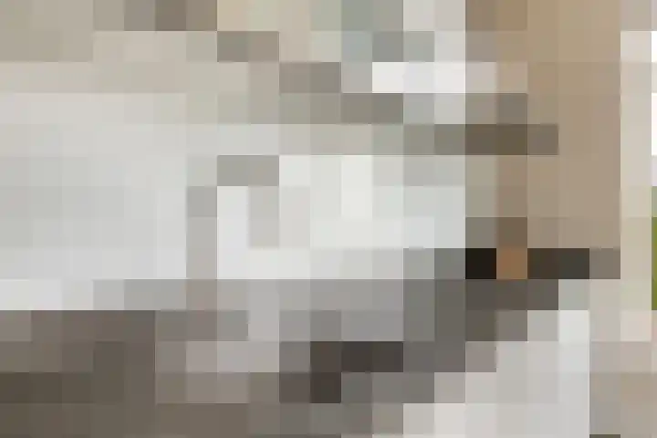 Vredeoord 15 Gouda thumbnail 18