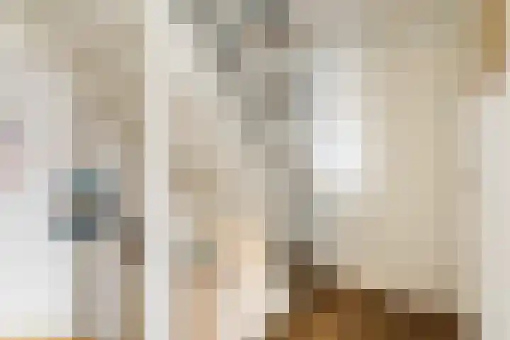 Vredeoord 15 Gouda thumbnail 19