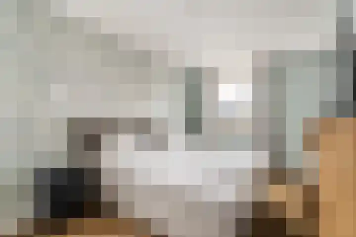 Vredeoord 15 Gouda thumbnail 20