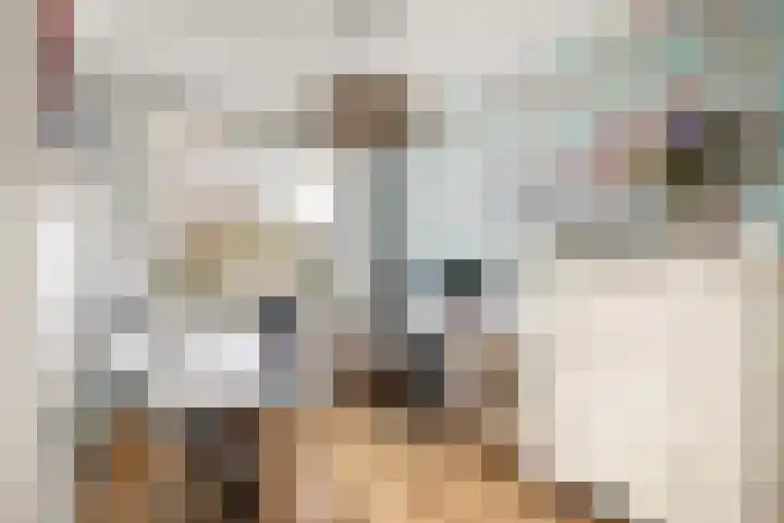 Vredeoord 15 Gouda thumbnail 26