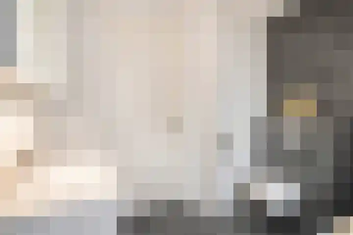 Vredeoord 15 Gouda thumbnail 31