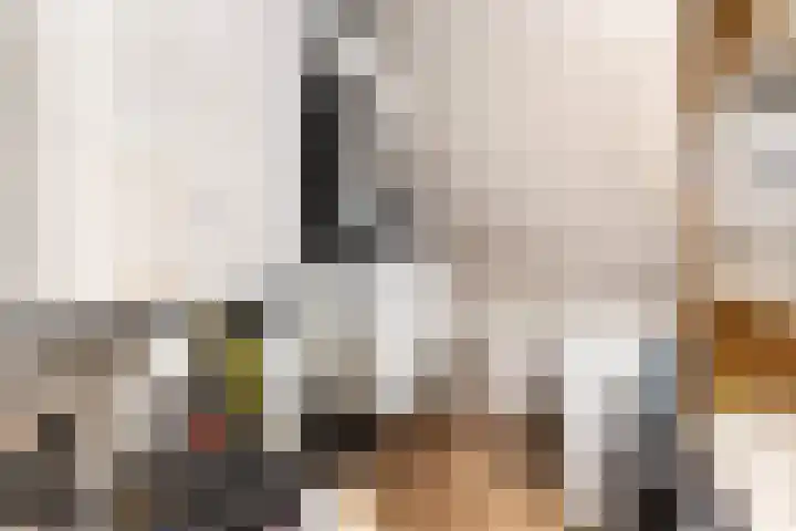 Vredeoord 15 Gouda thumbnail 38