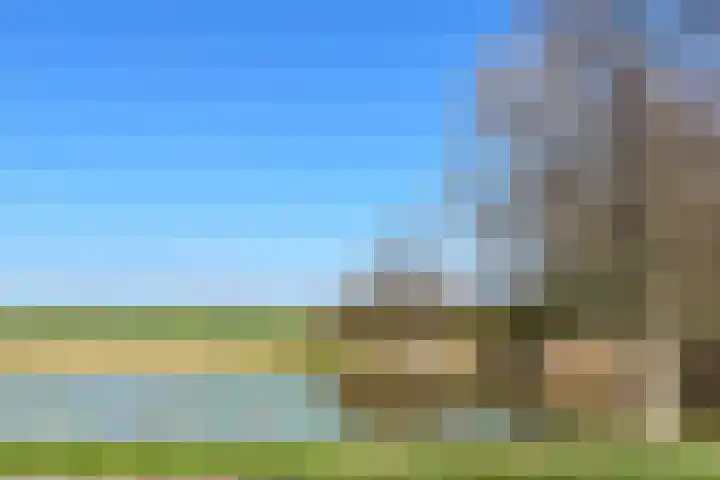 Vredeoord 15 Gouda thumbnail 45