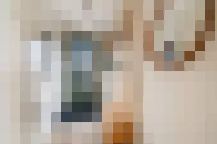 Vredeoord 15 Gouda thumbnail 7
