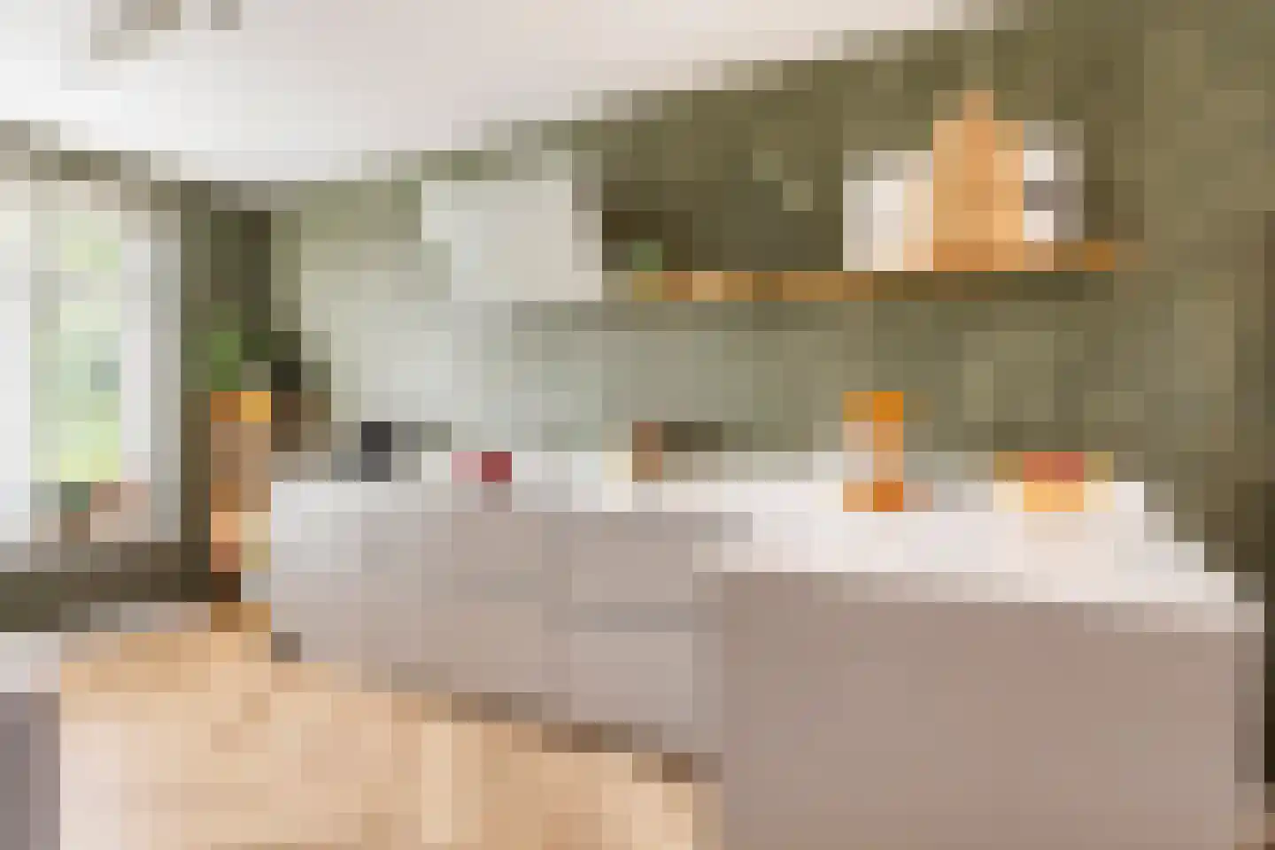 Vredeoord 19 Gouda thumbnail 20