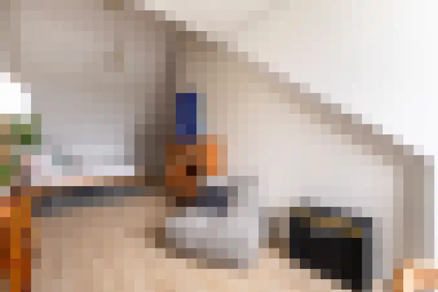 Vredeoord 19 Gouda thumbnail 36