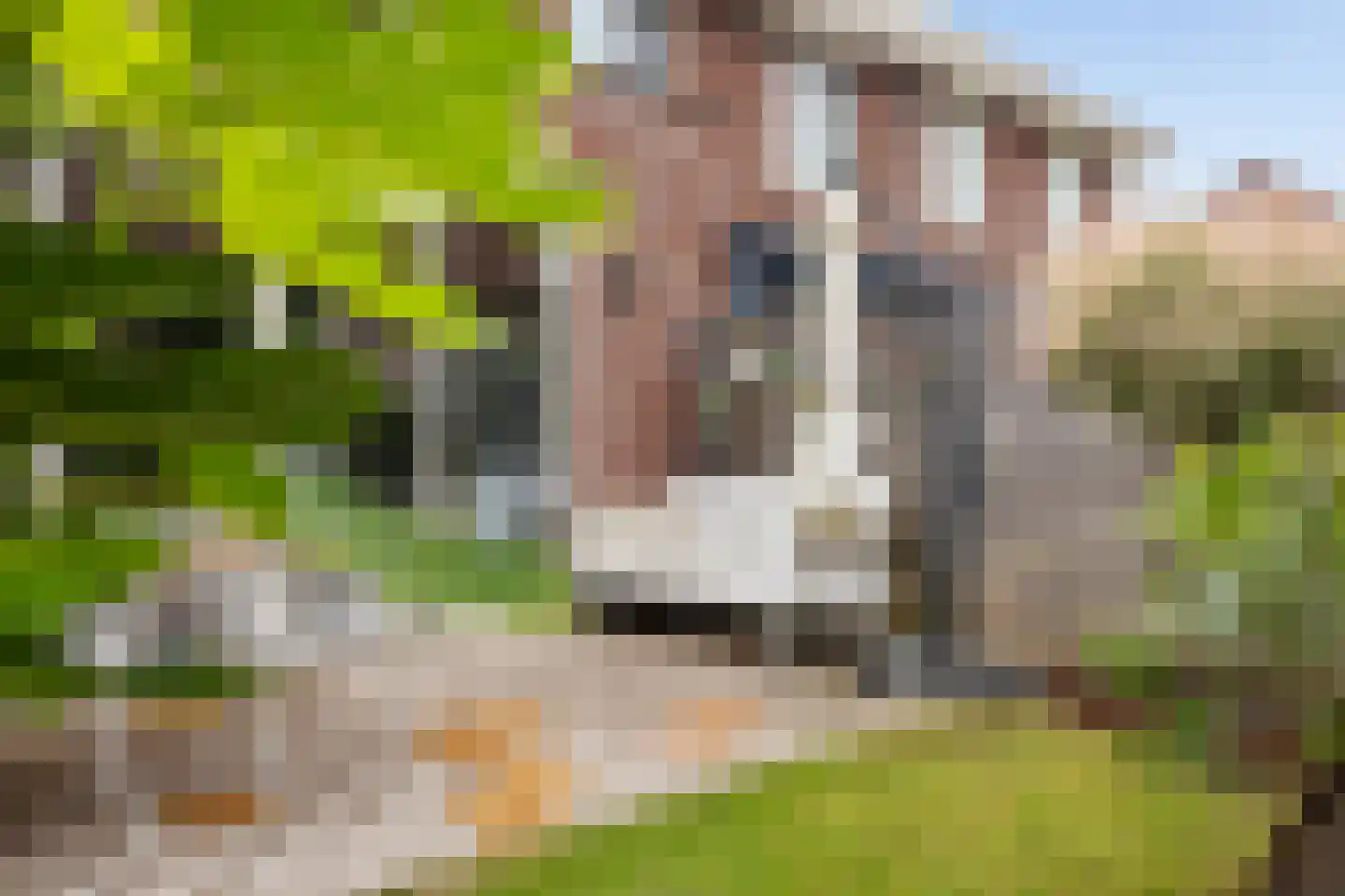 Vredeoord 19 Gouda thumbnail 38