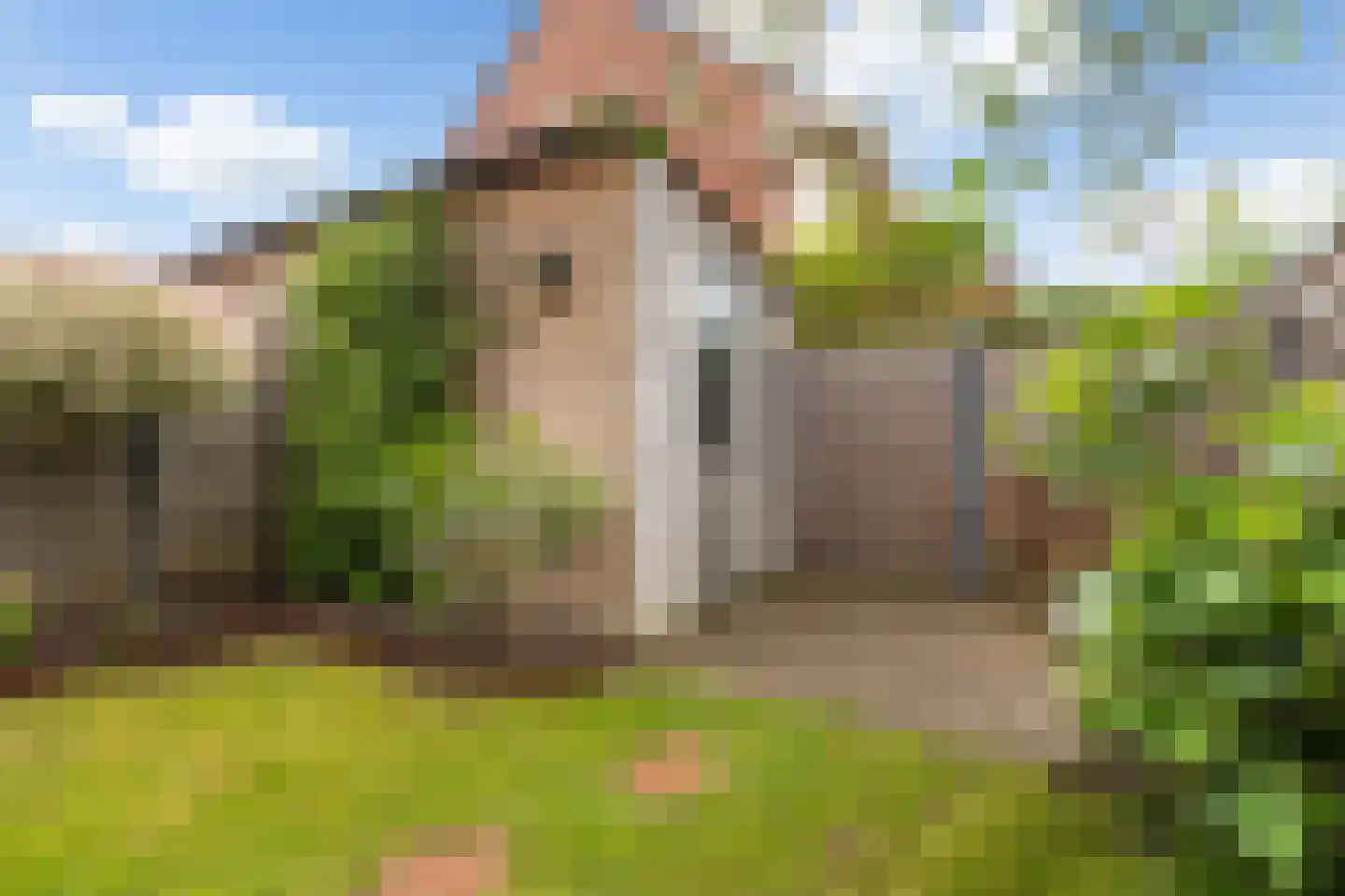Vredeoord 19 Gouda thumbnail 43