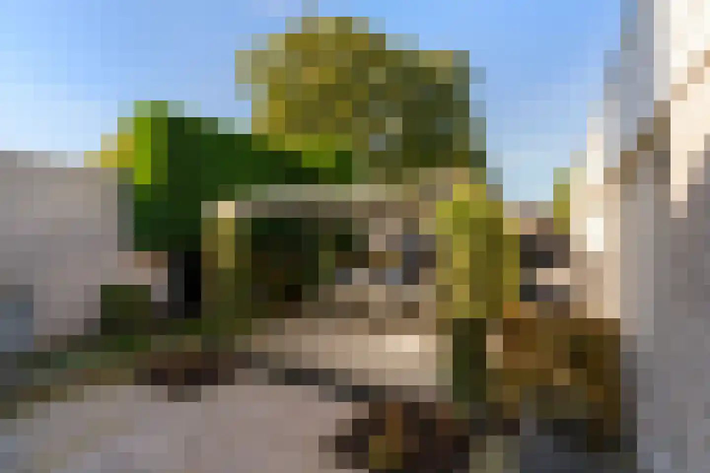 Vredepark 15 Oudenbosch thumbnail 27