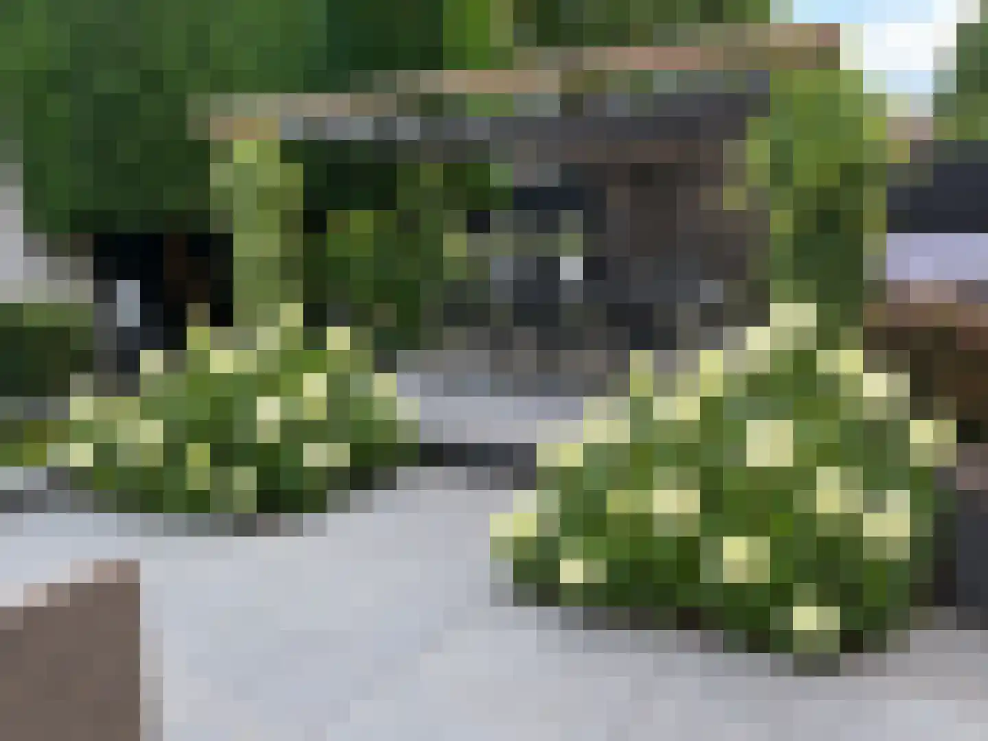 Vredepark 15 Oudenbosch thumbnail 28