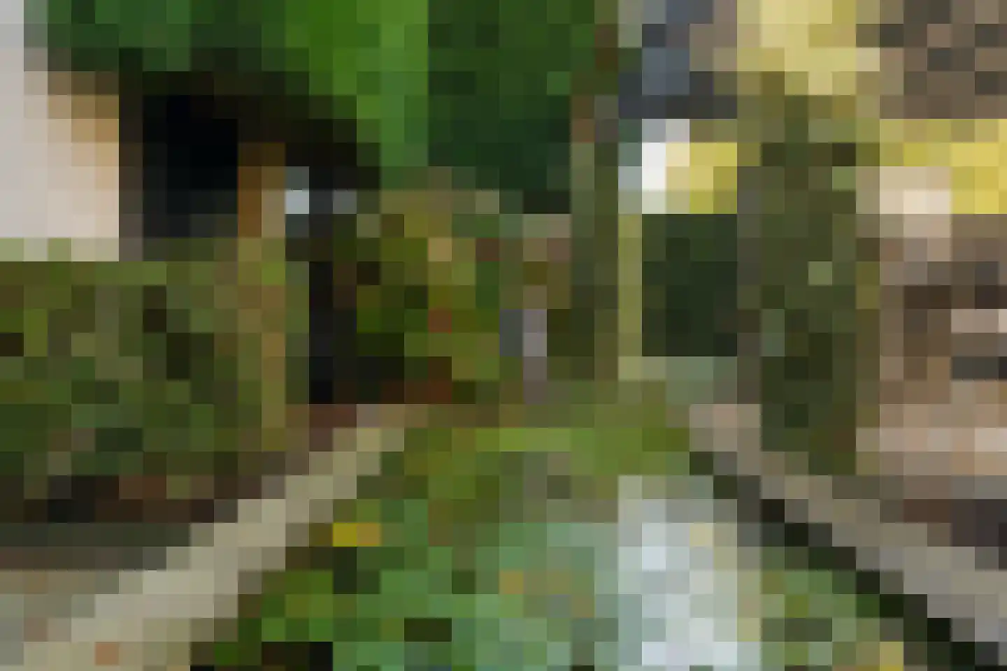 Vredepark 15 Oudenbosch thumbnail 35