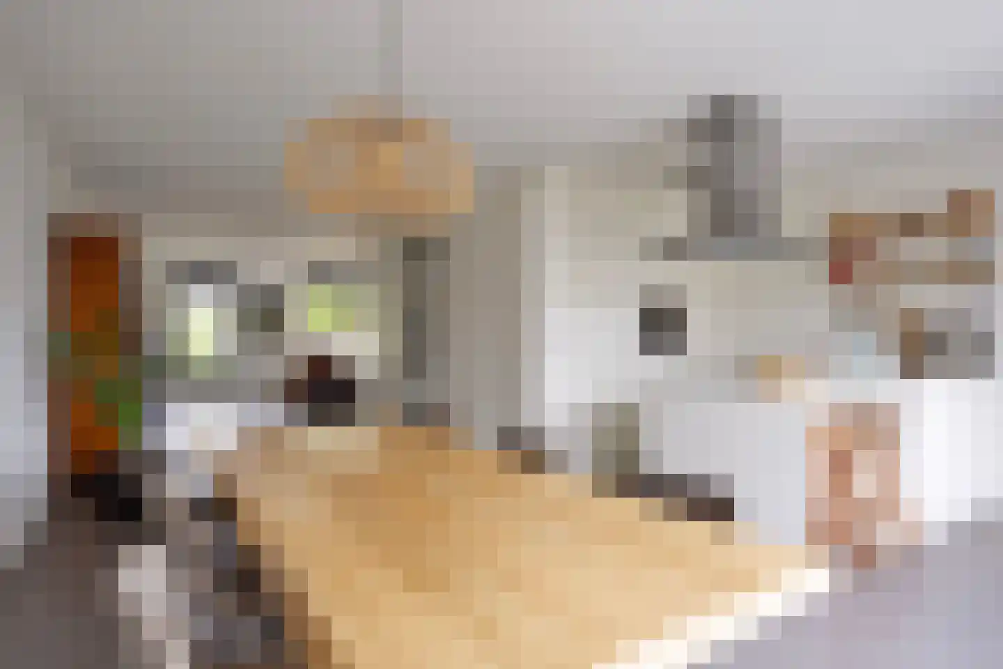 Vrederiksakker 13 Heerhugowaard thumbnail 32