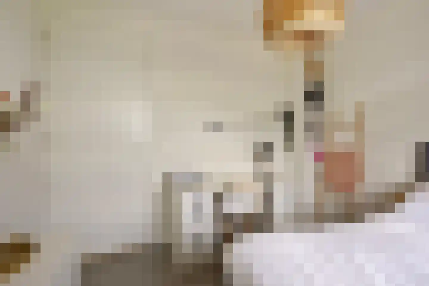 Vrederiksakker 13 Heerhugowaard thumbnail 46