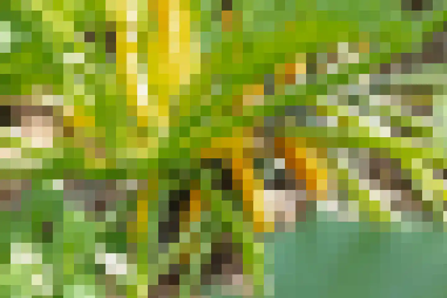 Vrederiksakker 13 Heerhugowaard thumbnail 62