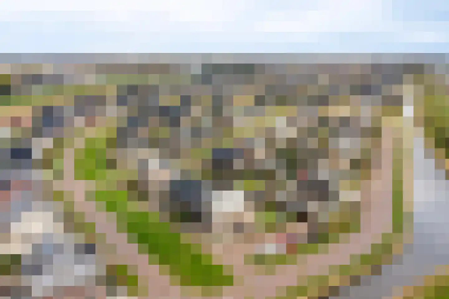 Vrederiksakker 26 Heerhugowaard thumbnail 40