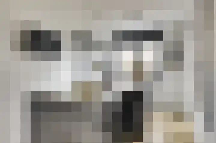 Vrederiksakker 4 Heerhugowaard thumbnail 16