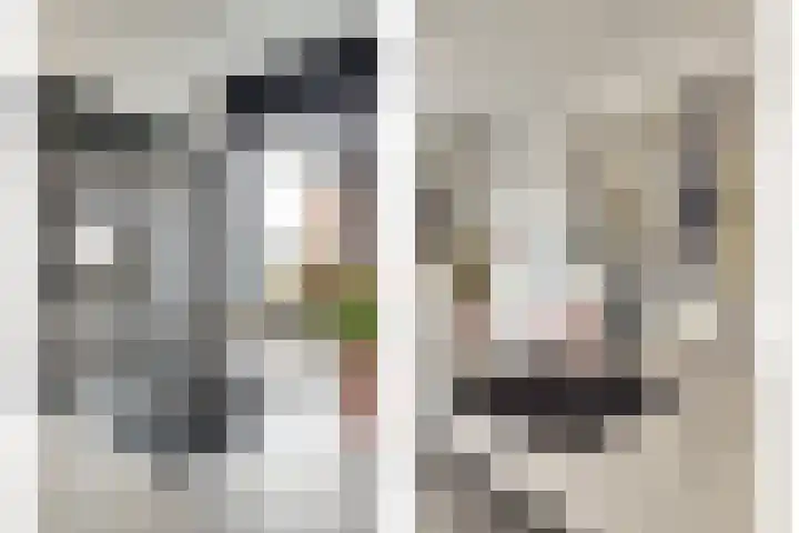 Vrederiksakker 4 Heerhugowaard thumbnail 19