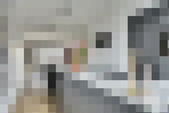 Vrederiksakker 4 Heerhugowaard thumbnail 20