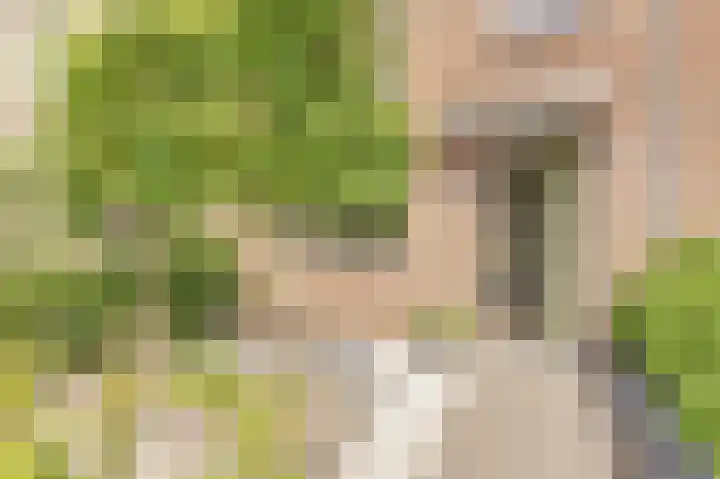 Vrederiksakker 4 Heerhugowaard thumbnail 4