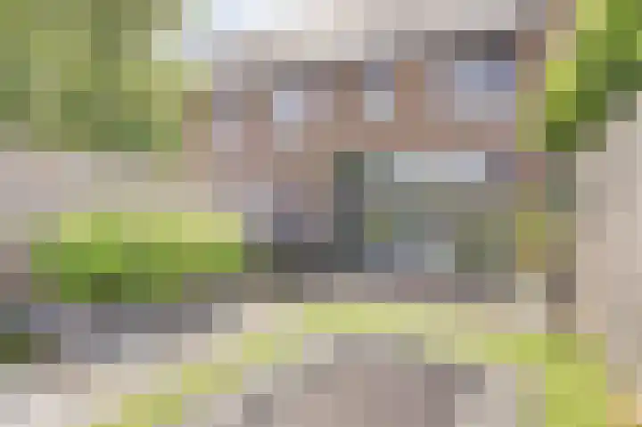 Vrederiksakker 4 Heerhugowaard thumbnail 48